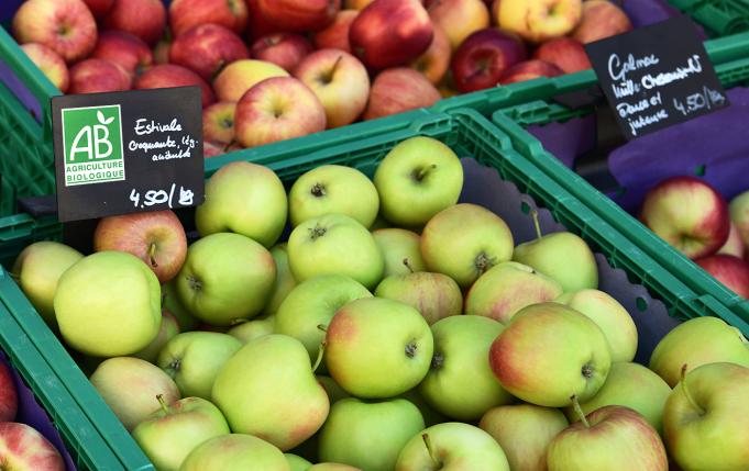 le logo AB sur l'étiquette de prix d'un étalage de pommes au marché
