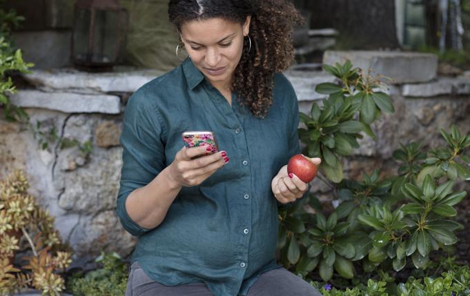 une femme enceinte mange une pomme en regardant son portable